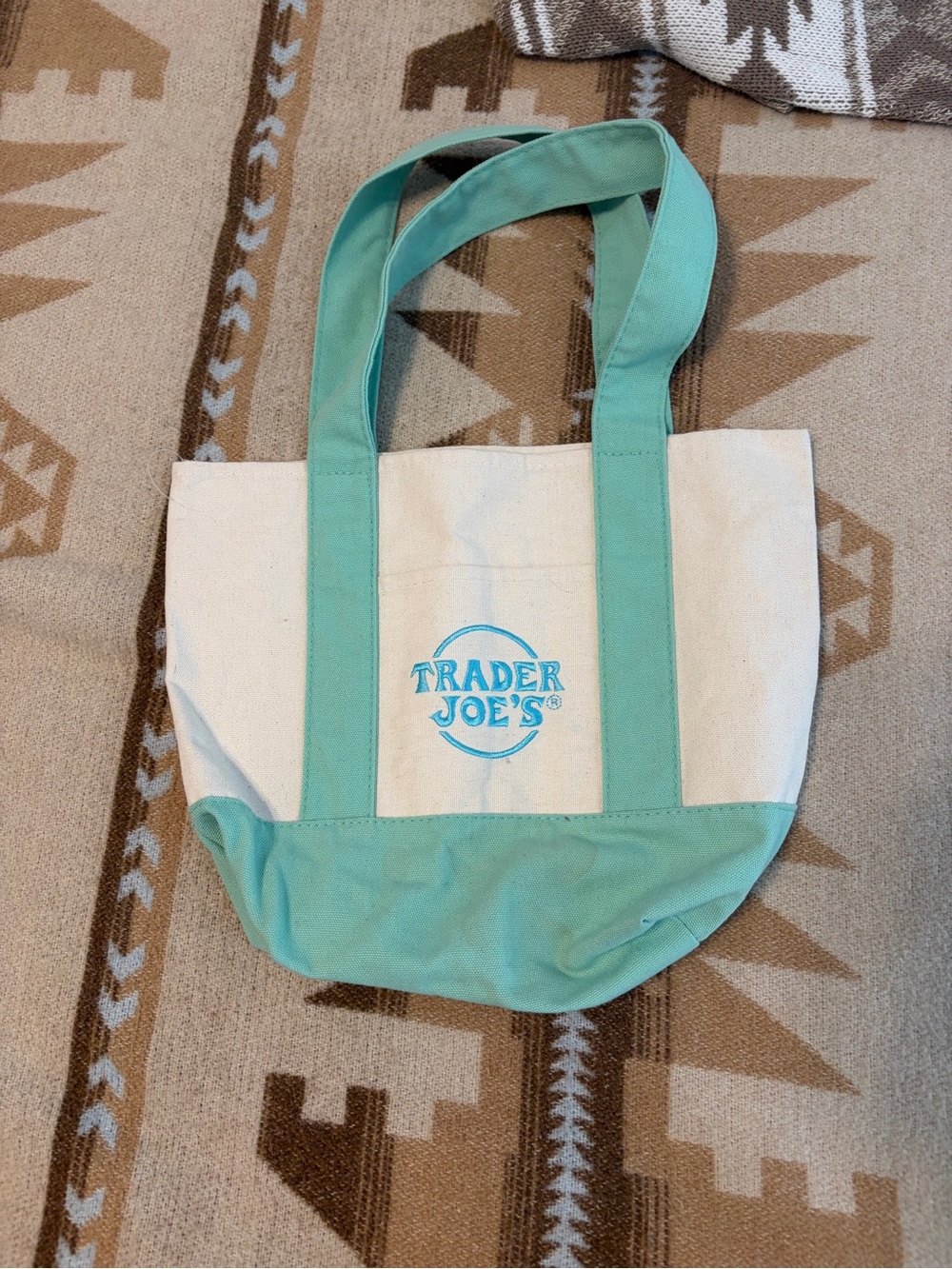 Trader Joe’s mini tote in Aqua